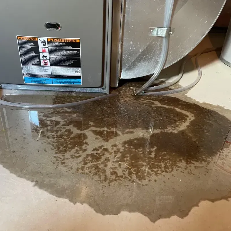 Appliance Leak Cleanup in Enchanted Hills, NM